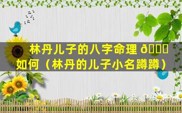 林丹儿子的八字命理 🐎 如何（林丹的儿子小名蹲蹲）